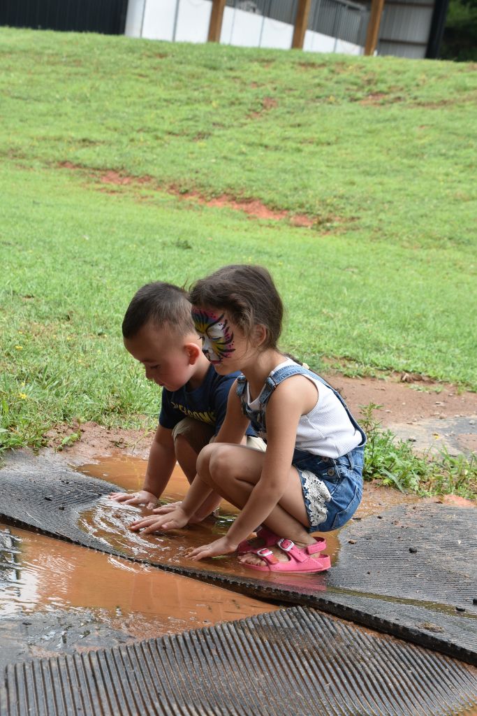 mimosa farm 2019 182 (683x1024).jpg